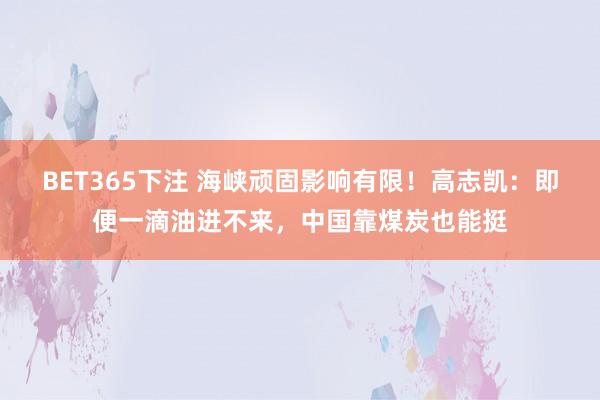 BET365下注 海峡顽固影响有限！高志凯：即便一滴油进不来，中国靠煤炭也能挺