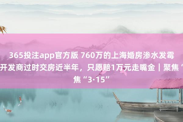 365投注app官方版 760万的上海婚房渗水发霉爬虫，开发商过时交房近半年，只愿赔1万元走嘴金｜聚焦“3·15”