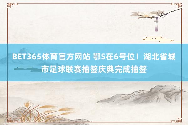 BET365体育官方网站 鄂S在6号位！湖北省城市足球联赛抽签庆典完成抽签