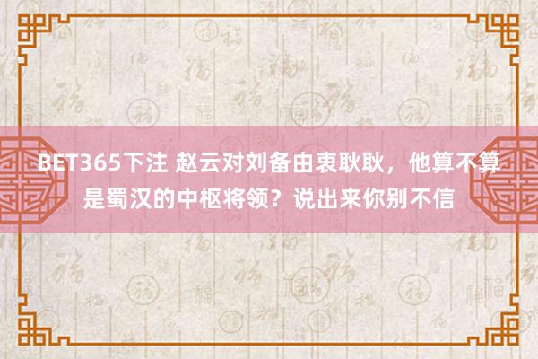 BET365下注 赵云对刘备由衷耿耿，他算不算是蜀汉的中枢将领？说出来你别不信