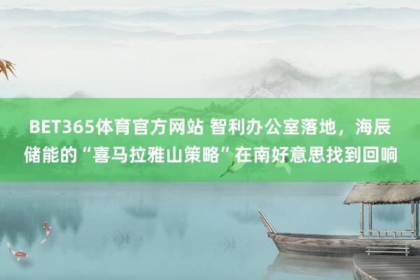 BET365体育官方网站 智利办公室落地，海辰储能的“喜马拉雅山策略”在南好意思找到回响