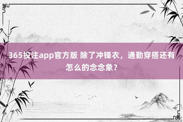 365投注app官方版 除了冲锋衣，通勤穿搭还有怎么的念念象？