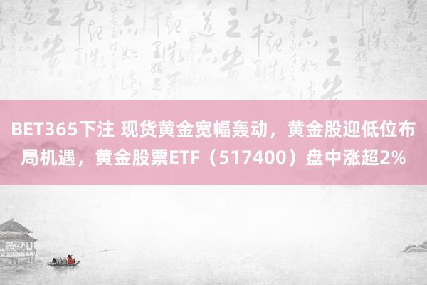 BET365下注 现货黄金宽幅轰动，黄金股迎低位布局机遇，黄金股票ETF（517400）盘中涨超2%