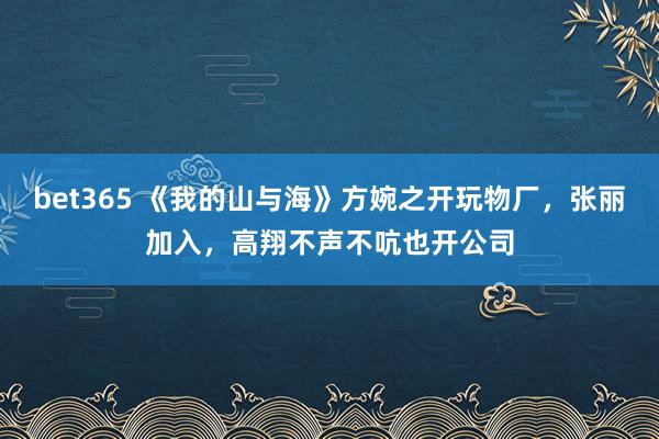 bet365 《我的山与海》方婉之开玩物厂，张丽加入，高翔不声不吭也开公司
