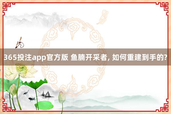 365投注app官方版 鱼腩开采者， 如何重建到手的?