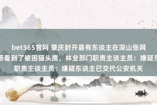 bet365官网 肇庆封开县有东谈主在深山张网捕鸟，志愿者称在现场看到了被困猫头鹰，林业部门职责主谈主员：嫌疑东谈主已交代公安机关