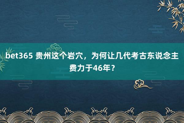 bet365 贵州这个岩穴，为何让几代考古东说念主费力于46年？
