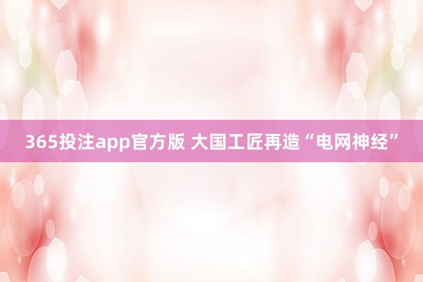 365投注app官方版 大国工匠再造“电网神经”