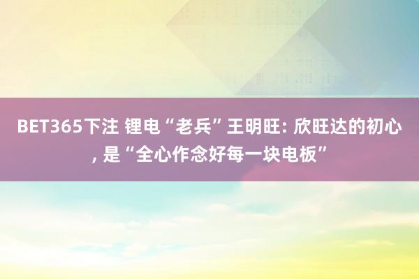 BET365下注 锂电“老兵”王明旺: 欣旺达的初心， 是“全心作念好每一块电板”
