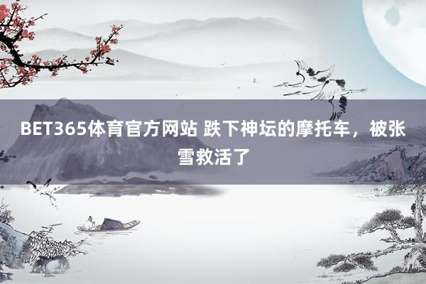 BET365体育官方网站 跌下神坛的摩托车，被张雪救活了