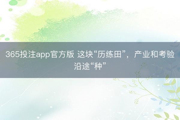 365投注app官方版 这块“历练田”，产业和考验沿途“种”