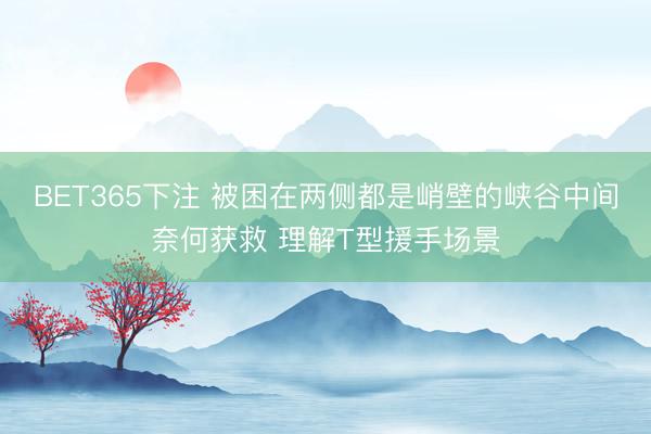 BET365下注 被困在两侧都是峭壁的峡谷中间奈何获救 理解T型援手场景