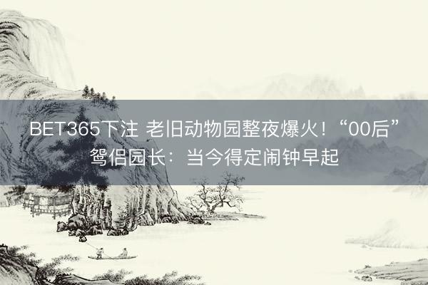 BET365下注 老旧动物园整夜爆火!“00后”鸳侣园长:当今得定闹钟早起