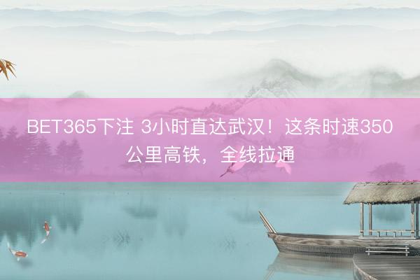 BET365下注 3小时直达武汉！这条时速350公里高铁，全线拉通