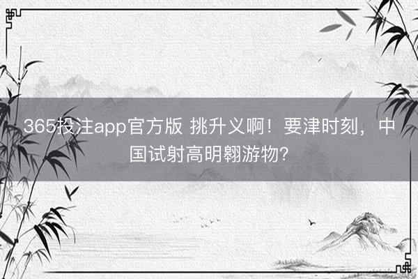 365投注app官方版 挑升义啊！要津时刻，中国试射高明翱游物？