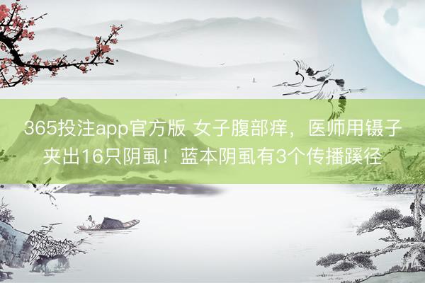 365投注app官方版 女子腹部痒，医师用镊子夹出16只阴虱！蓝本阴虱有3个传播蹊径
