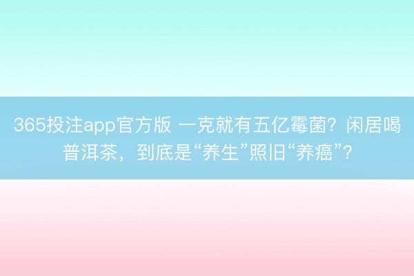 365投注app官方版 一克就有五亿霉菌？闲居喝普洱茶，到底是“养生”照旧“养癌”？