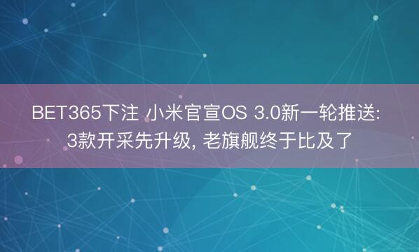 BET365下注 小米官宣OS 3.0新一轮推送: 3款开采先升级， 老旗舰终于比及了