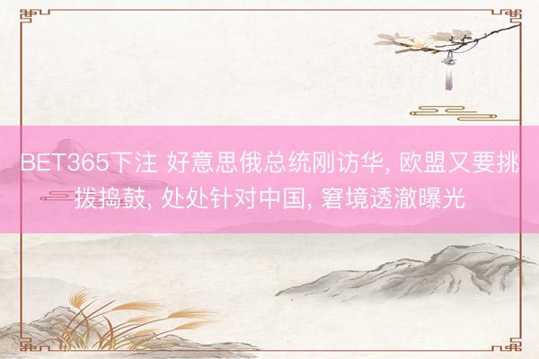 BET365下注 好意思俄总统刚访华, 欧盟又要挑拨捣鼓, 处处针对中国, 窘境透澈曝光