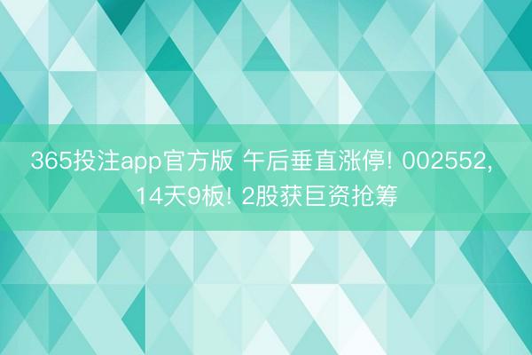 365投注app官方版 午后垂直涨停! 002552， 14天9板! 2股获巨资抢筹