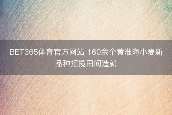 BET365体育官方网站 160余个黄淮海小麦新品种招揽田间造就