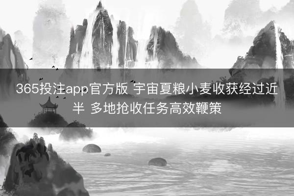 365投注app官方版 宇宙夏粮小麦收获经过近半 多地抢收任务高效鞭策