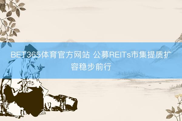 BET365体育官方网站 公募REITs市集提质扩容稳步前行