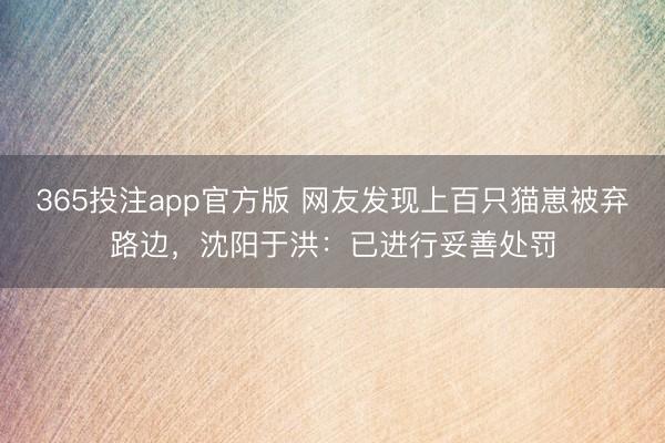 365投注app官方版 网友发现上百只猫崽被弃路边，沈阳于洪：已进行妥善处罚
