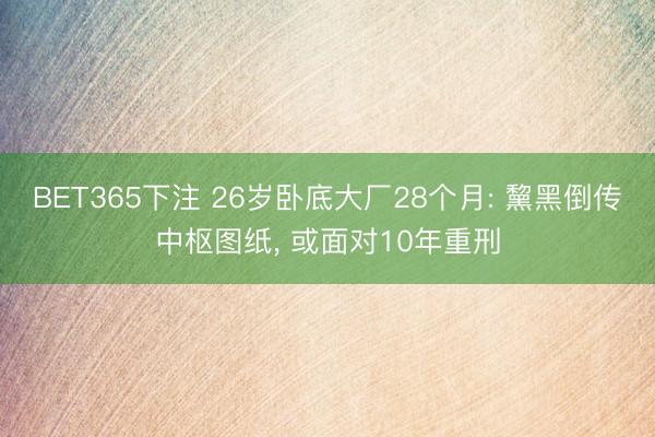BET365下注 26岁卧底大厂28个月: 黧黑倒传中枢图纸， 或面对10年重刑