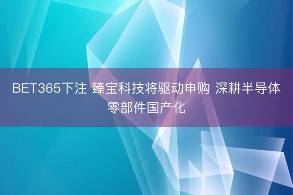 BET365下注 臻宝科技将驱动申购 深耕半导体零部件国产化