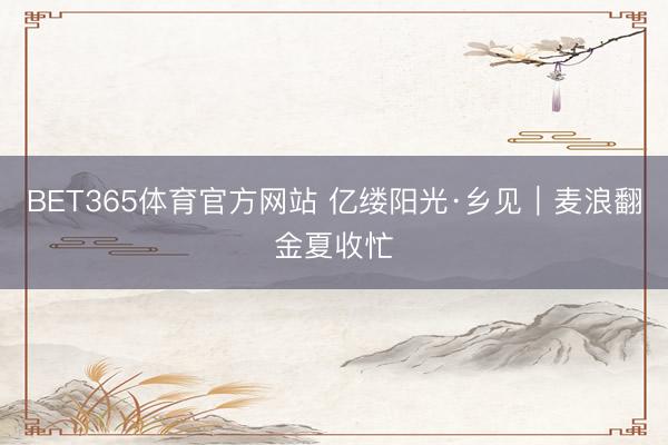 BET365体育官方网站 亿缕阳光·乡见｜麦浪翻金夏收忙