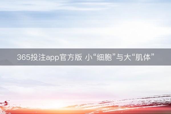 365投注app官方版 小“细胞”与大“肌体”