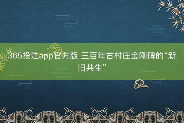 365投注app官方版 三百年古村庄金刚碑的“新旧共生”