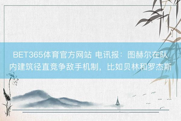 BET365体育官方网站 电讯报：图赫尔在队内建筑径直竞争敌手机制，比如贝林和罗杰斯