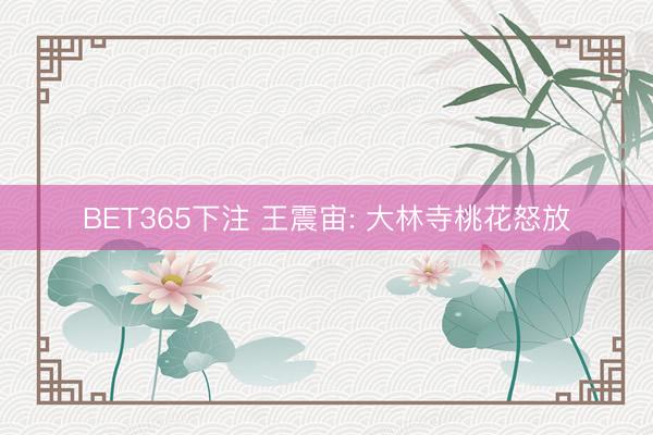 BET365下注 王震宙: 大林寺桃花怒放
